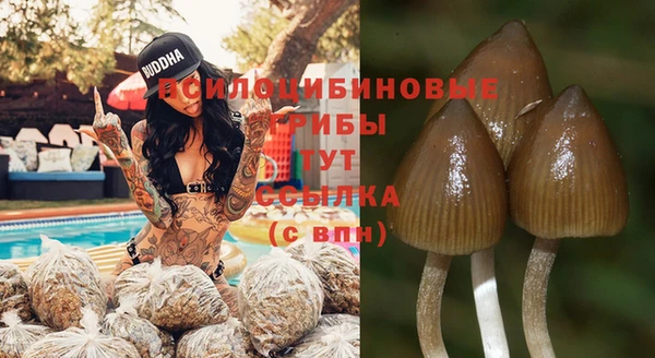 PSILOCYBIN Горняк